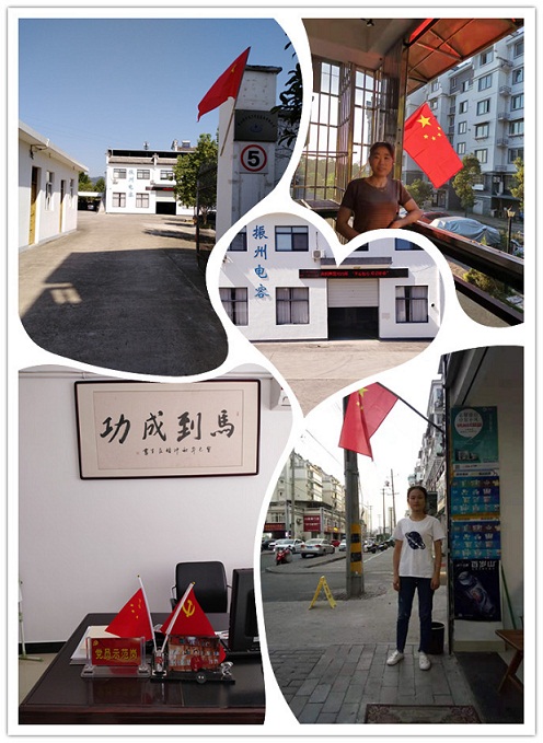 組織黨員開展“祖國在我心中，國旗在我家中”愛國主題活動(dòng)