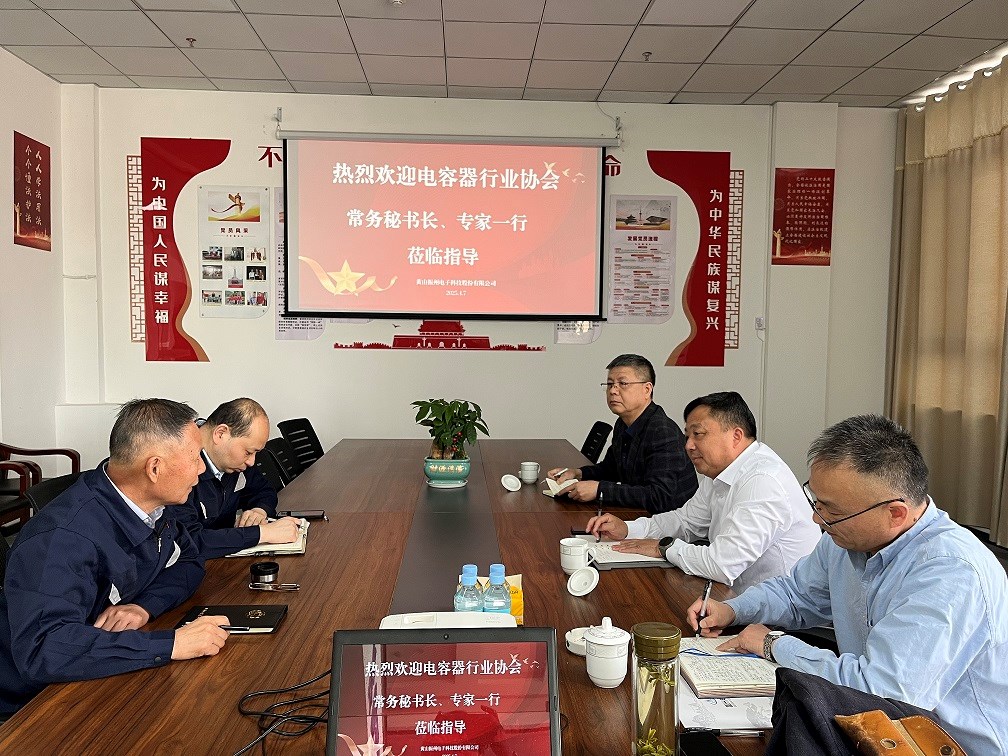 中國電子元件行業協會電容器分會副秘書長凌建民一行深入黃山振州考察調研